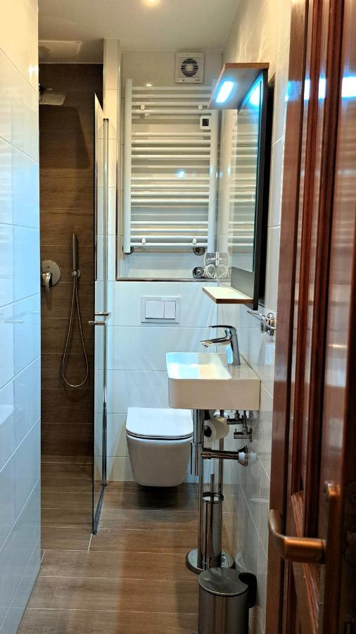 Studio Apartman Olivera Ровинь Экстерьер фото